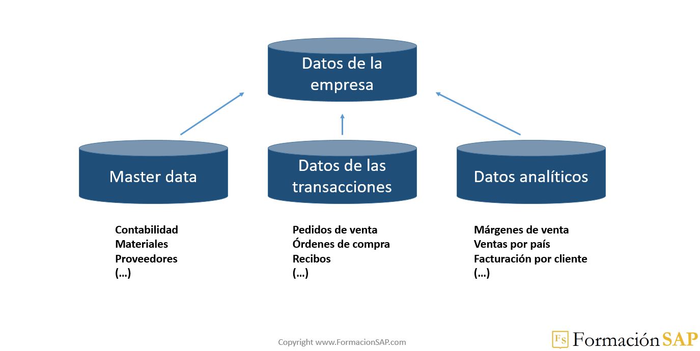 Master Data y Transaction Data en SAP ERP