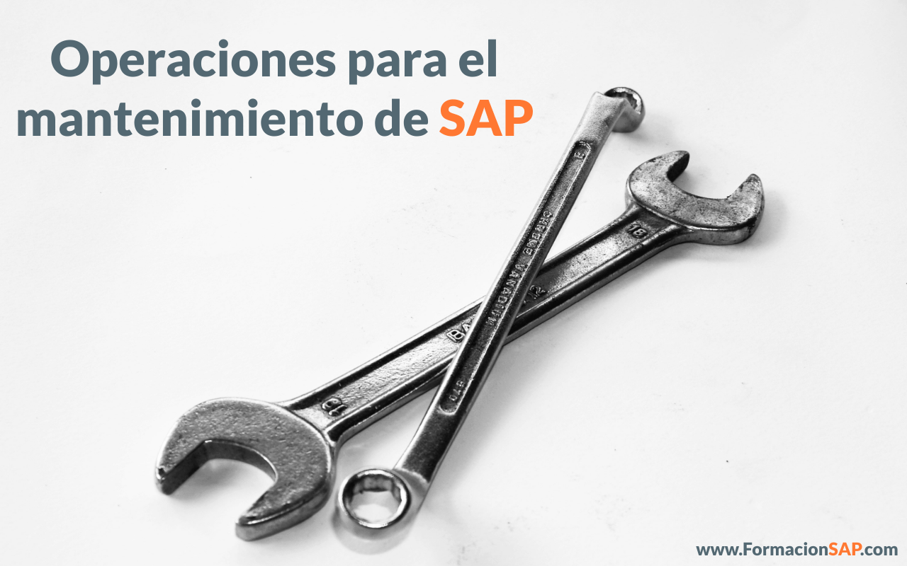 Operaciones para el mantenimiento cotidiano de SAP